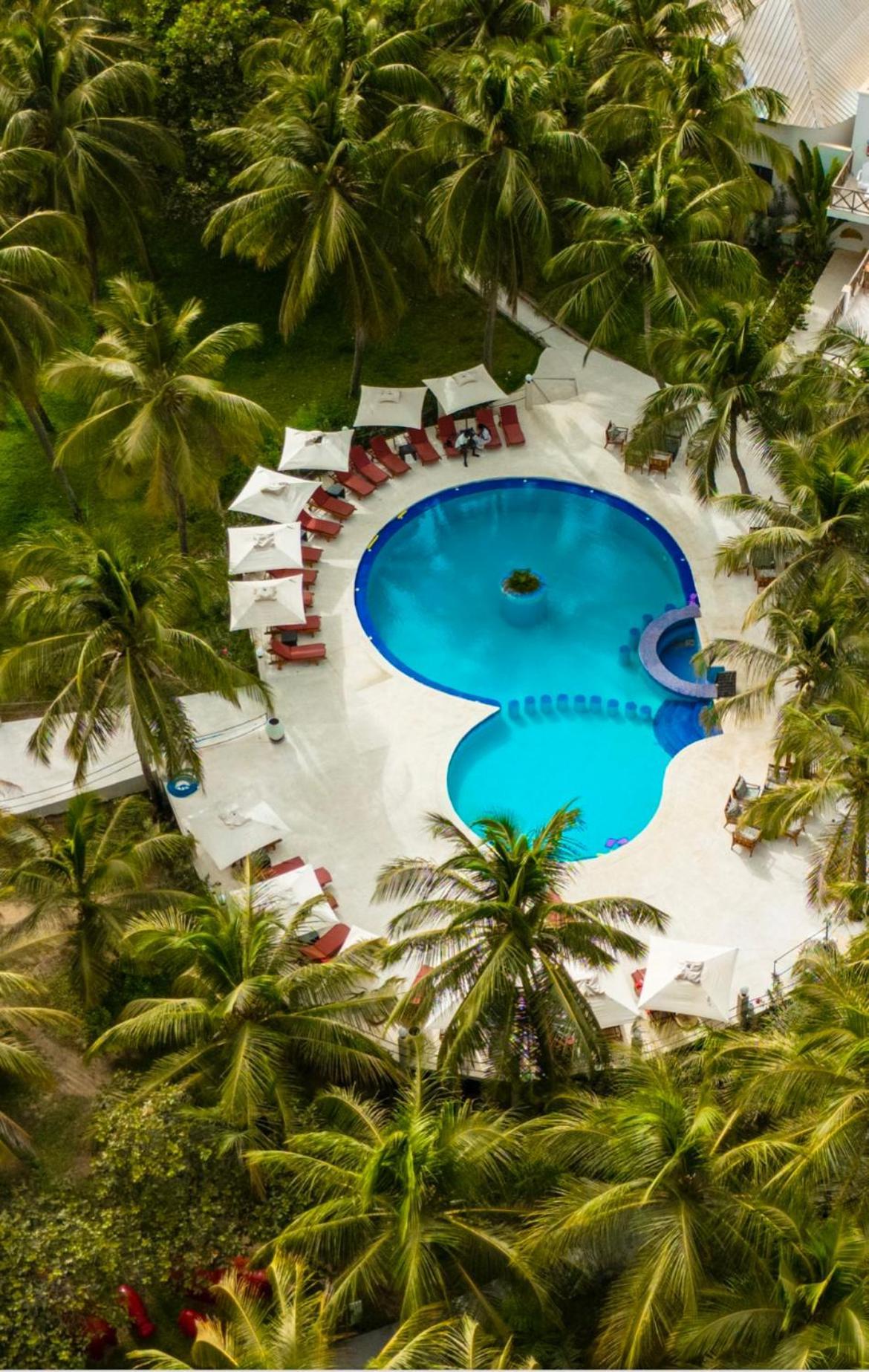 Les Hibiscus Sur Mer Kabrousse Exterior photo